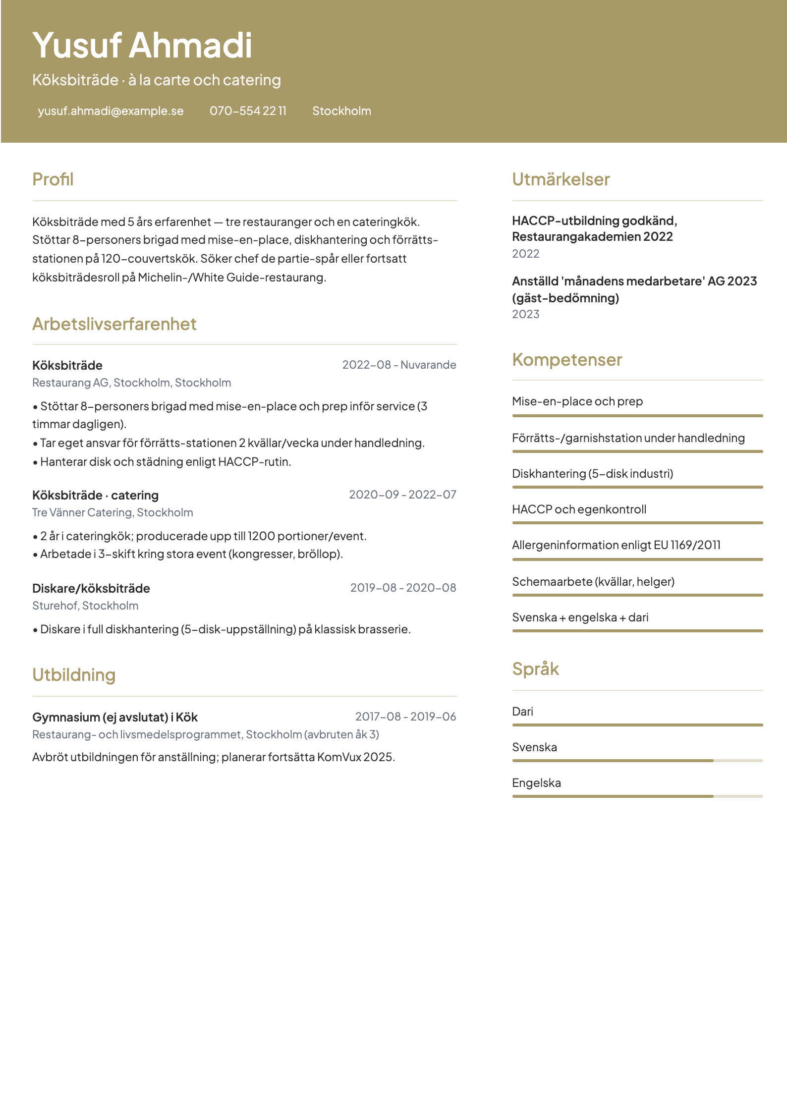 Exempel på ett färdigt CV skapat i Chappie